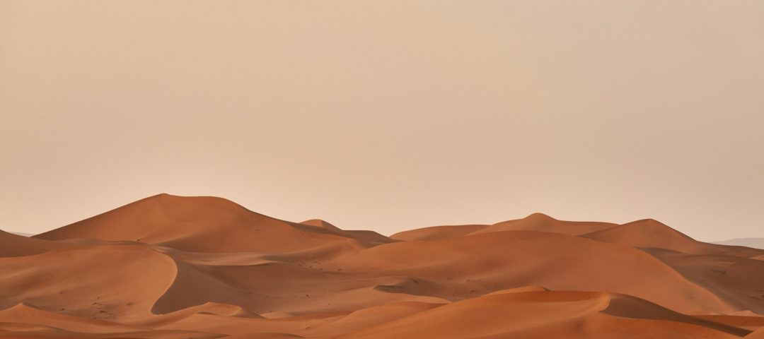 wolfgang-hasselmann-pVr6wvUneMk-unsplash